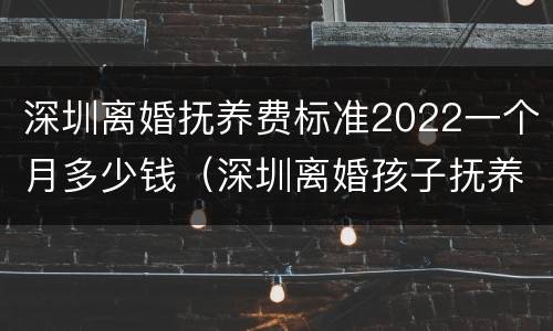 深圳离婚抚养费标准2022一个月多少钱（深圳离婚孩子抚养费标准2021）