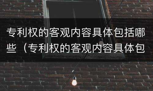专利权的客观内容具体包括哪些（专利权的客观内容具体包括哪些要素）