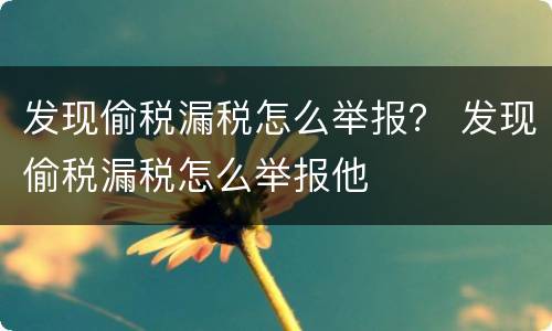 发现偷税漏税怎么举报？ 发现偷税漏税怎么举报他