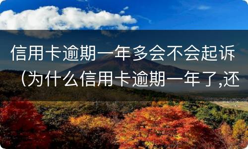 信用卡逾期一年多会不会起诉（为什么信用卡逾期一年了,还不起诉）