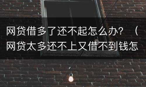 网贷借多了还不起怎么办？（网贷太多还不上又借不到钱怎么办）