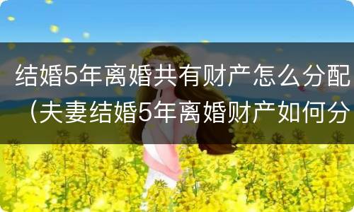 结婚5年离婚共有财产怎么分配（夫妻结婚5年离婚财产如何分配）
