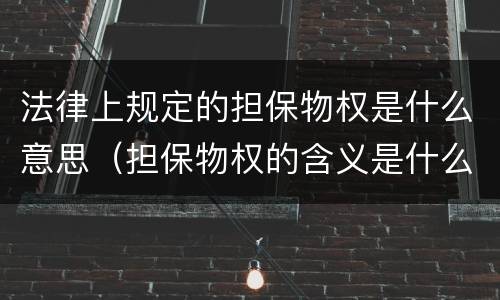 法律上规定的担保物权是什么意思（担保物权的含义是什么）