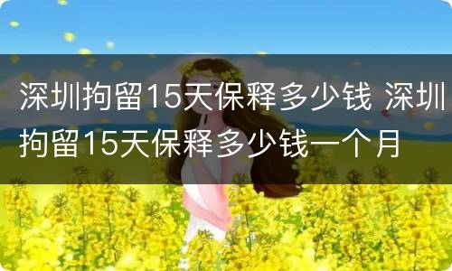 深圳拘留15天保释多少钱 深圳拘留15天保释多少钱一个月