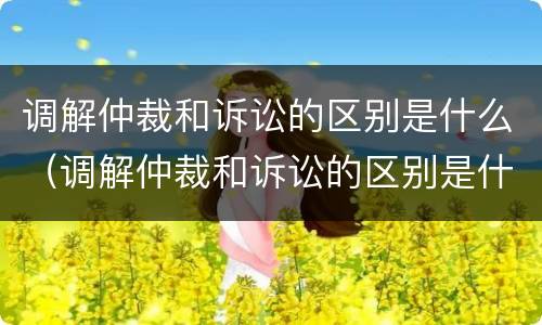 调解仲裁和诉讼的区别是什么（调解仲裁和诉讼的区别是什么意思）