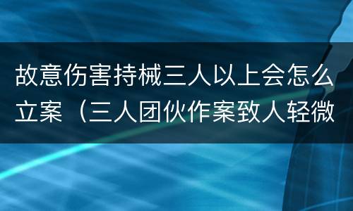 故意伤害持械三人以上会怎么立案（三人团伙作案致人轻微伤害怎么判决）