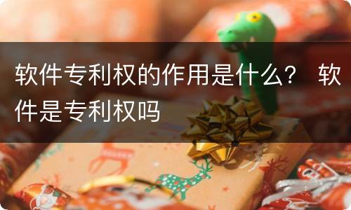 软件专利权的作用是什么？ 软件是专利权吗