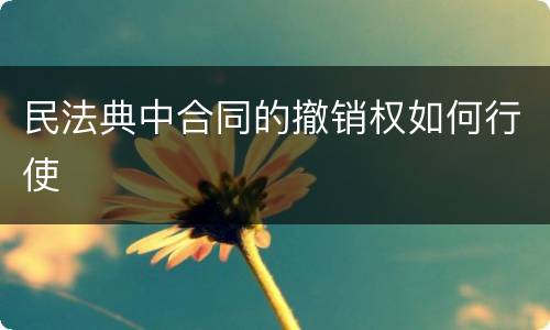 民法典中合同的撤销权如何行使