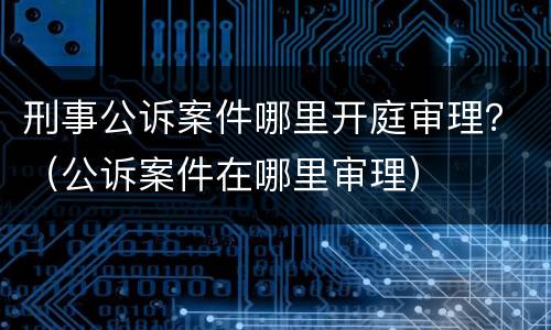 刑事公诉案件哪里开庭审理？（公诉案件在哪里审理）