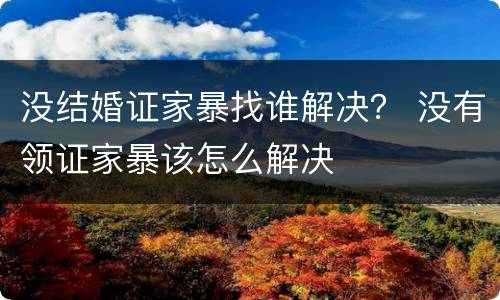 没结婚证家暴找谁解决？ 没有领证家暴该怎么解决