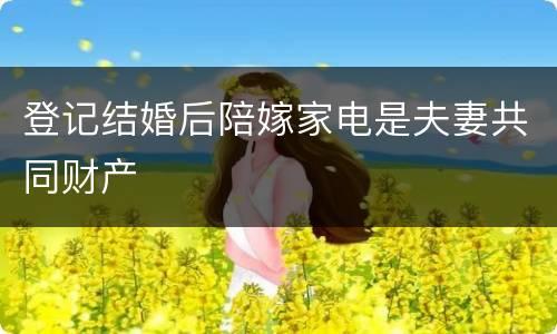 登记结婚后陪嫁家电是夫妻共同财产