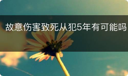 故意伤害致死从犯5年有可能吗