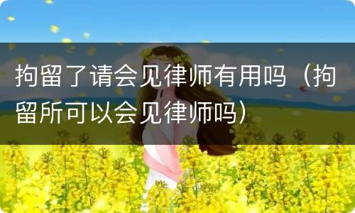 拘留了请会见律师有用吗（拘留所可以会见律师吗）