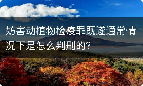 妨害动植物检疫罪既遂通常情况下是怎么判刑的？