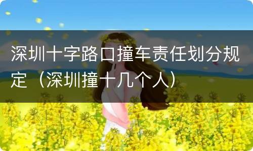 深圳十字路口撞车责任划分规定（深圳撞十几个人）