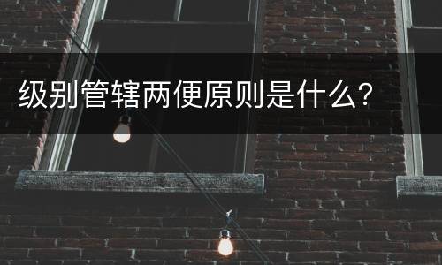 级别管辖两便原则是什么？