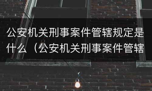 公安机关刑事案件管辖规定是什么（公安机关刑事案件管辖规定是什么时候实施）