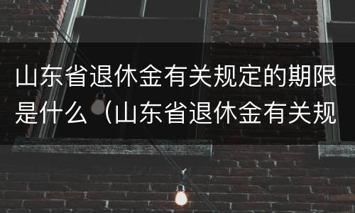 山东省退休金有关规定的期限是什么（山东省退休金有关规定的期限是什么时间）