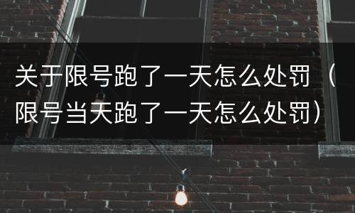 关于限号跑了一天怎么处罚（限号当天跑了一天怎么处罚）