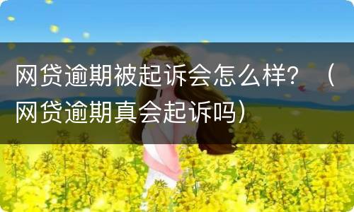 网贷逾期被起诉会怎么样？（网贷逾期真会起诉吗）