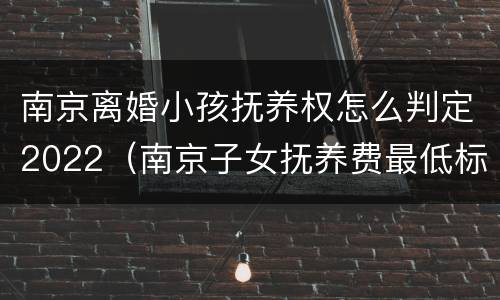 南京离婚小孩抚养权怎么判定2022（南京子女抚养费最低标准）