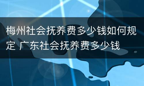 梅州社会抚养费多少钱如何规定 广东社会抚养费多少钱