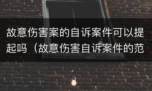 故意伤害案的自诉案件可以提起吗（故意伤害自诉案件的范围）