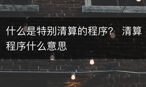 什么是特别清算的程序？ 清算程序什么意思