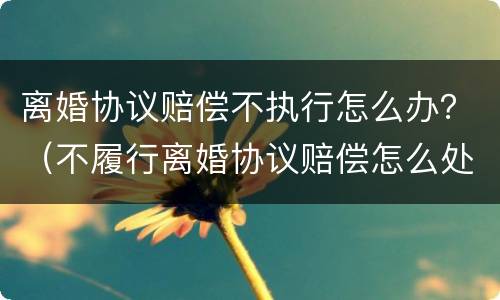 离婚协议赔偿不执行怎么办？（不履行离婚协议赔偿怎么处理）