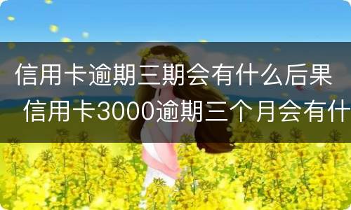 信用卡逾期三期会有什么后果 信用卡3000逾期三个月会有什么后果