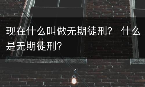 现在什么叫做无期徒刑？ 什么是无期徒刑?