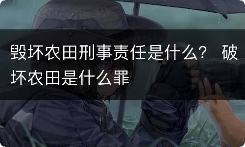 毁坏农田刑事责任是什么？ 破坏农田是什么罪