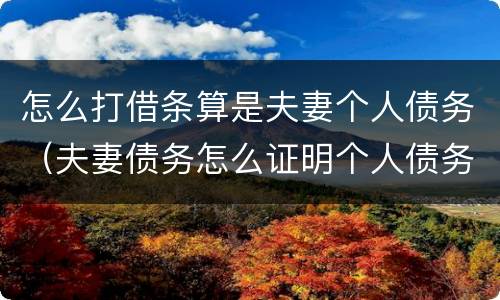 怎么打借条算是夫妻个人债务（夫妻债务怎么证明个人债务）