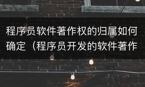 程序员软件著作权的归属如何确定（程序员开发的软件著作权归谁）
