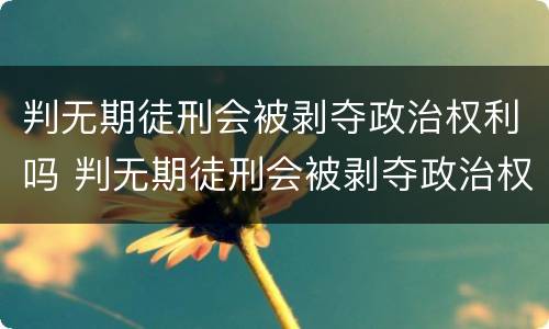 判无期徒刑会被剥夺政治权利吗 判无期徒刑会被剥夺政治权利吗为什么