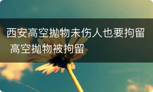 西安高空抛物未伤人也要拘留 高空抛物被拘留