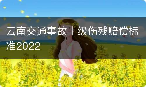 云南交通事故十级伤残赔偿标准2022