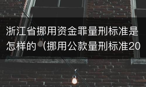 浙江省挪用资金罪量刑标准是怎样的（挪用公款量刑标准2020浙江省）