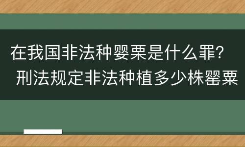 在我国非法种婴栗是什么罪？ 刑法规定非法种植多少株罂粟