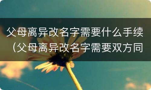 父母离异改名字需要什么手续（父母离异改名字需要双方同意吗）