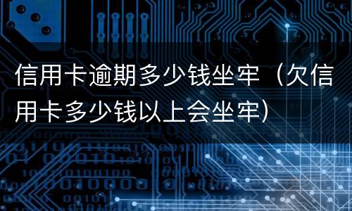 信用卡逾期多少钱坐牢（欠信用卡多少钱以上会坐牢）