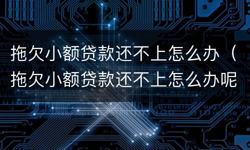 拖欠小额贷款还不上怎么办（拖欠小额贷款还不上怎么办呢）
