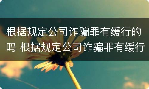 根据规定公司诈骗罪有缓行的吗 根据规定公司诈骗罪有缓行的吗怎么判