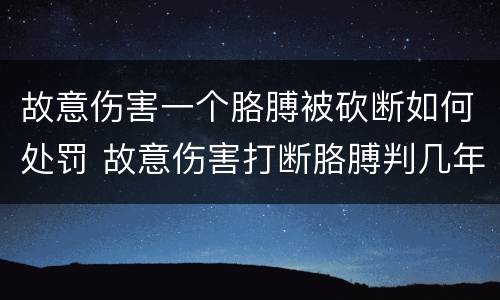 故意伤害一个胳膊被砍断如何处罚 故意伤害打断胳膊判几年