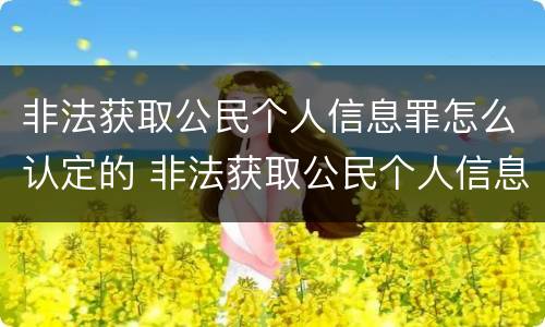 非法获取公民个人信息罪怎么认定的 非法获取公民个人信息罪怎么认定的呢