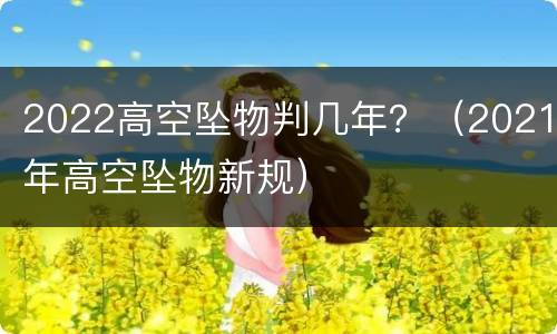 2022高空坠物判几年？（2021年高空坠物新规）