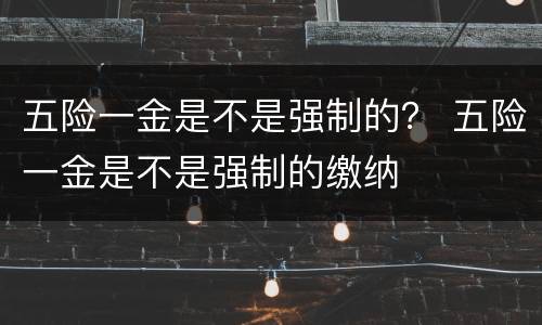 五险一金是不是强制的？ 五险一金是不是强制的缴纳