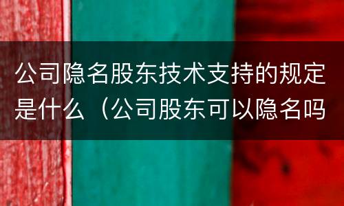 公司隐名股东技术支持的规定是什么（公司股东可以隐名吗）