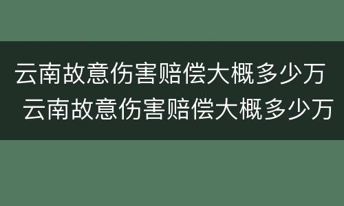 云南故意伤害赔偿大概多少万 云南故意伤害赔偿大概多少万以上