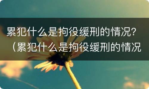 累犯什么是拘役缓刑的情况？（累犯什么是拘役缓刑的情况呢）